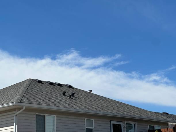 Best Wood Shake Roofing  in Rochester, NH